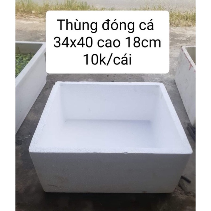 Thùng xốp đóng cá