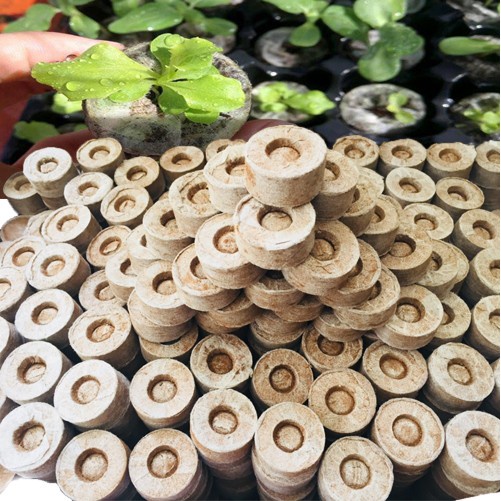 Viên Nén Nảy Mầm/ Viên Nén Xơ Dừa