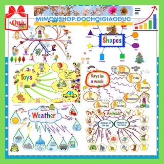 Thẻ học tiếng anh sơ đồ tư duy mindmap cho bé học tiếng anh giấy c300 bóng cứng, hình ảnh đẹp mimon247 mimon