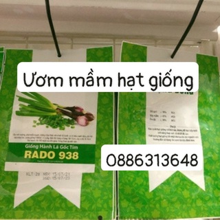Hạt giống Hành lá gốc tím (2g)