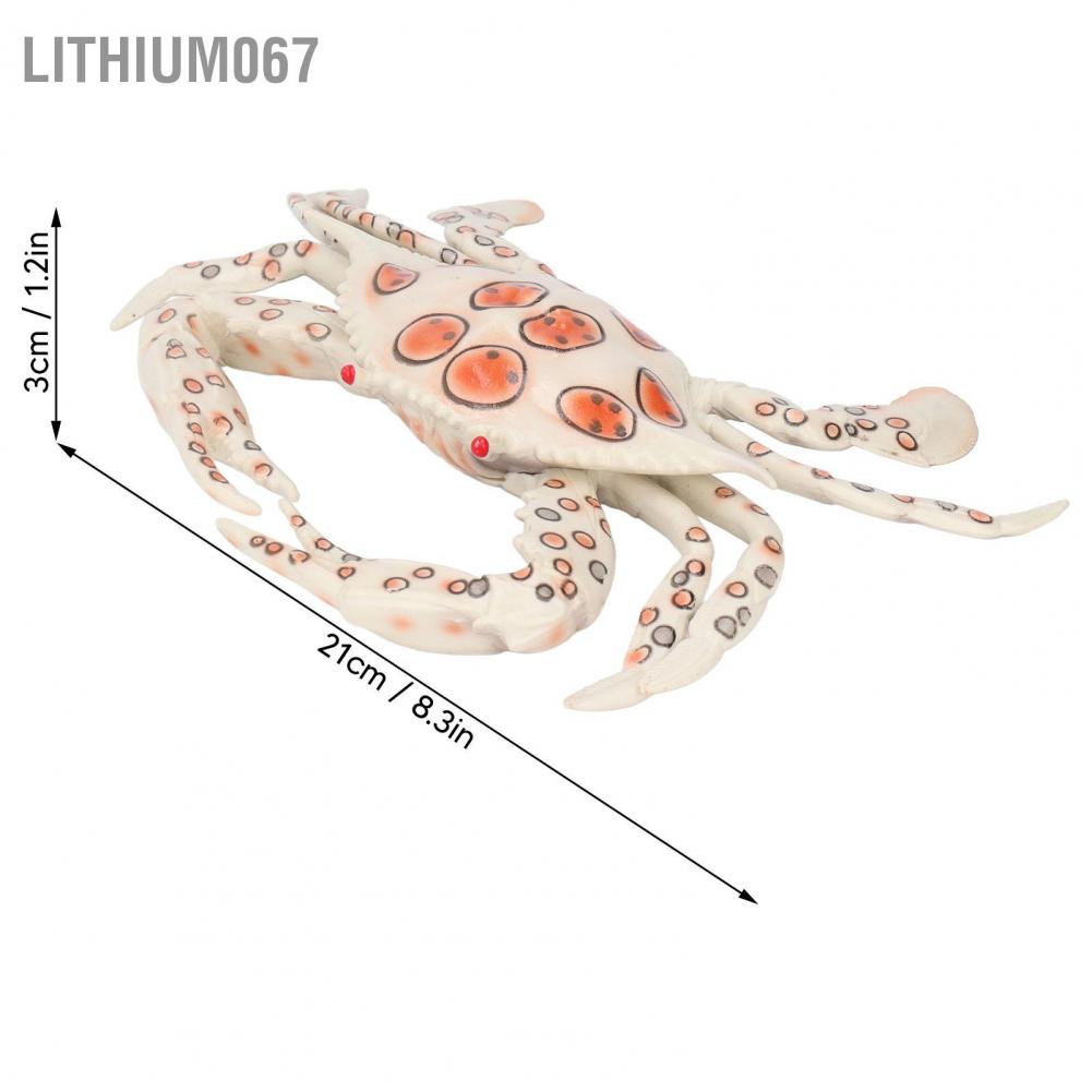 Lithium067 Lithium067 Đồ chơi con cua Giáo dục thú vị Bằng nhựa an toàn Hình dạng sống động Biển trang trí dạy học nhận thức sinh cho trẻ em