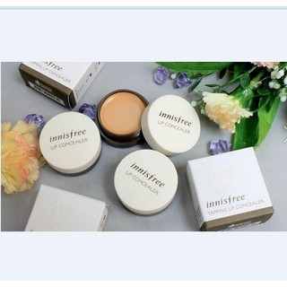 Che khuyết điểm môi innisfree tapping lip concealer