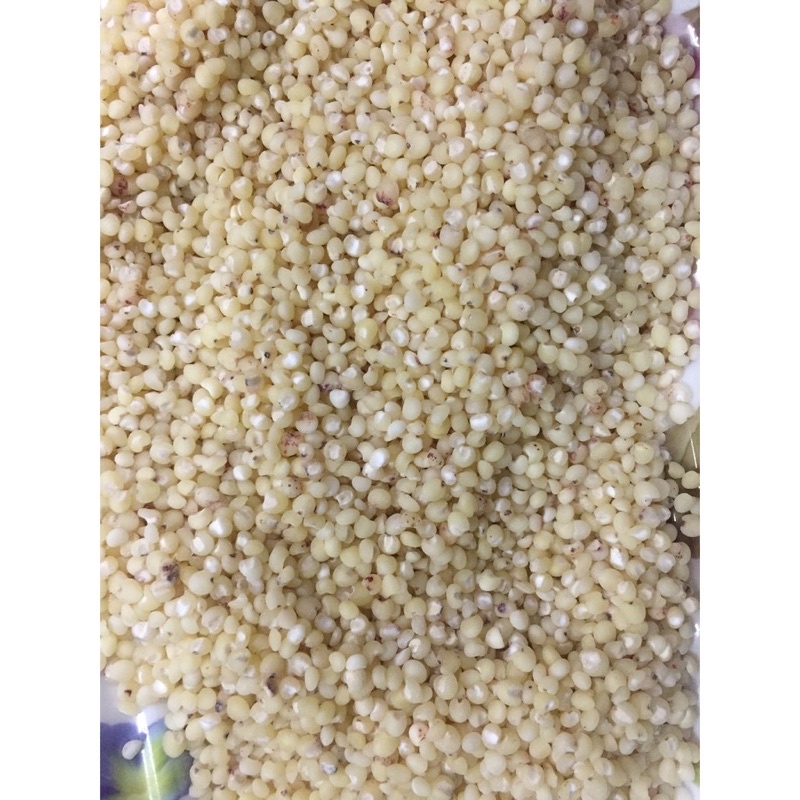 500g hạt ý dĩ - hạt bo bo trắng hàng mới hút chân không đảm bảo ko mối mọt