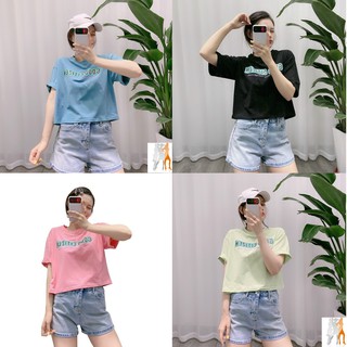 Áo thun croptop nữ | Áo croptop in chữ - Trùm Chuyên Sỉ Thời Trang