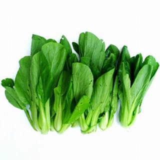 Hạt giống Cải xanh lùn (Cải chíp) gói 20 gram