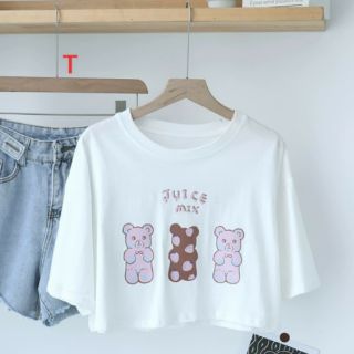 Áo Crt 3 chú gấu