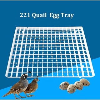Khay đảo trứng cút B221