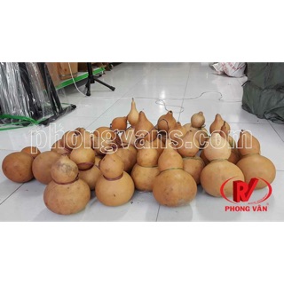 HỒ LÔ ĐỰNG RƯỢU HOẶC NƯỚC