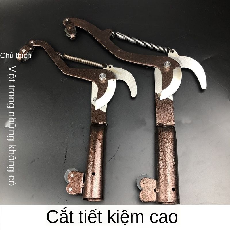 Kéo tỉa cành bằng dây, cắt trên cao, hái trái cây, cành, cao