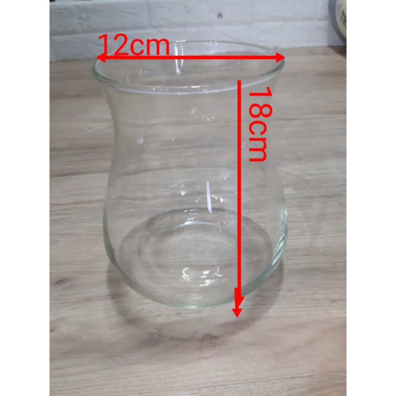 Ly Nuôi Cá MiNi Và Trồng Cây Thủy Sinh Dáng Bầu