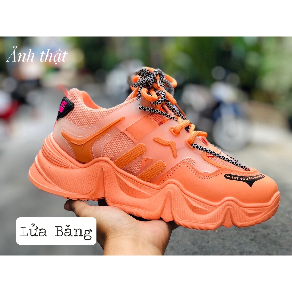 GIÀY THỂ THAO ĐẾ CAO CÙNG MÀU PHA DÂY VẰN NỔI BẬT (M30-3)
