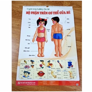 Bộ Tranh Treo Tường Cho Bé