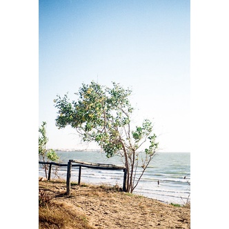 Phim outdate hết hạn Fujicolor 100 24 tấm date 03.2006 film 35mm phim nội địa nhật