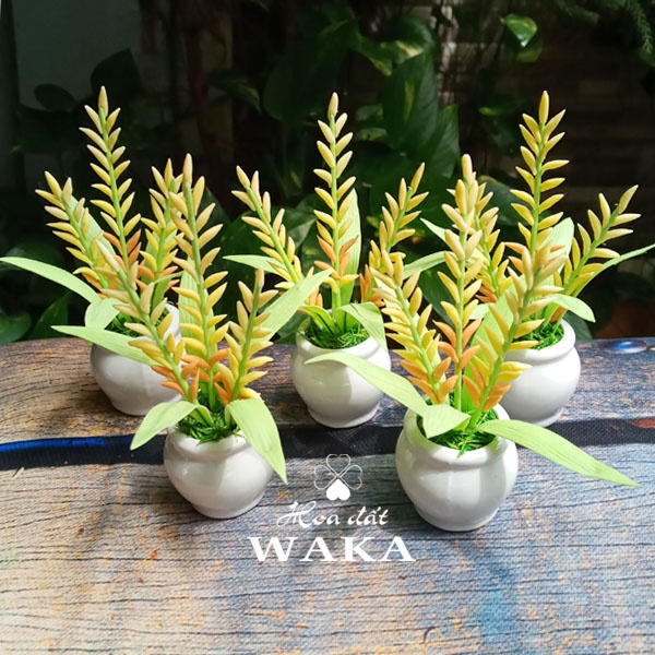 Hoa Đất Sét Mini-Cây Lúa 10cm