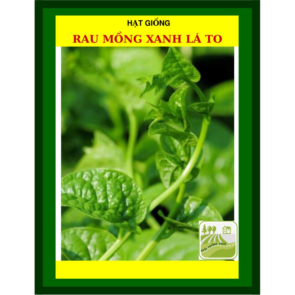 50 Gram - Hạt Mồng Tơi Lá Xanh Trang Nông