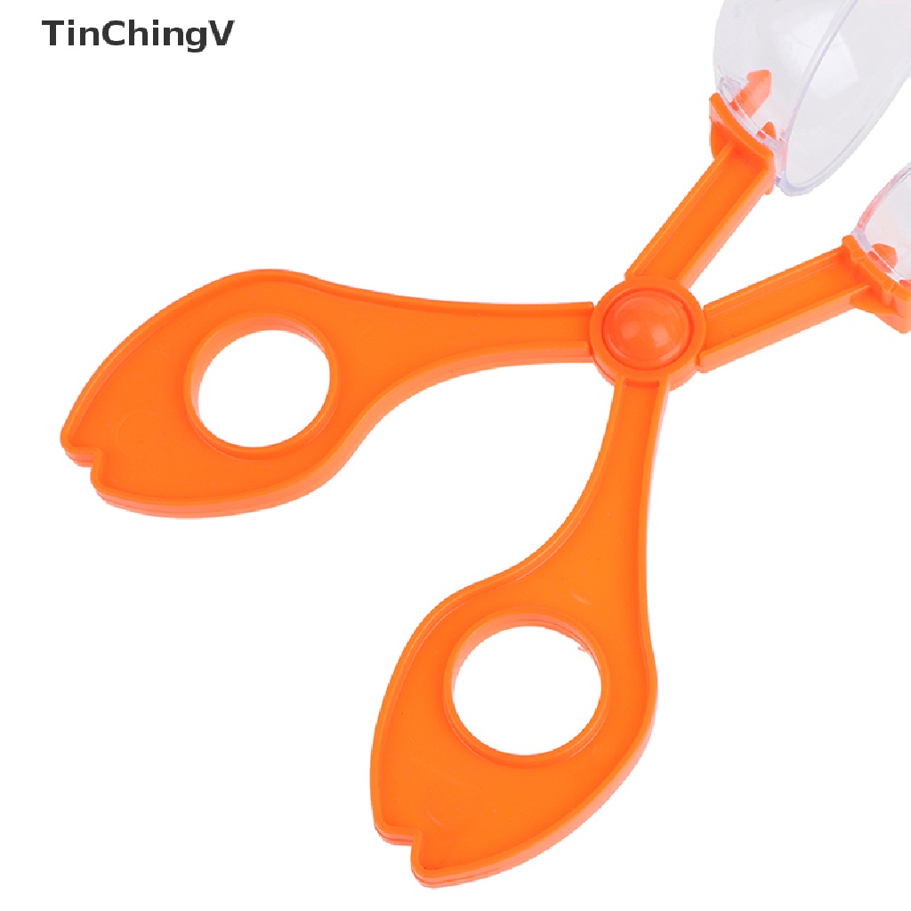 Bộ Đồ Chơi Khám Phá Côn Trùng Tự Nhiên Dành Cho Trẻ Em