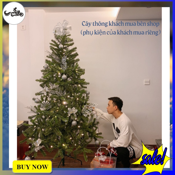 Cây thông noel đầu tròn size lớn 3m, 2m4, 2m1....đủ size màu xanh chân sắt cứng cáp tặng kèm dây kim tuyến trang trí