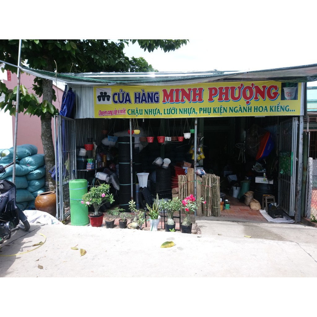 Chậu nhựa đen C11 nhỏ