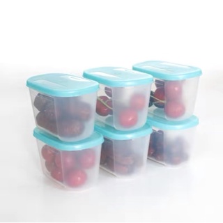Hộp đựng thực phẩm ngăn đông, hộp trữ đông tupperware chính hãng loại 300ml có bán tách lẻ