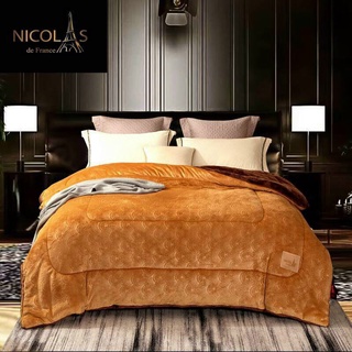 Chăn lông Cừu Nhật Bản và chăn lông cừu Pháp Nicolas