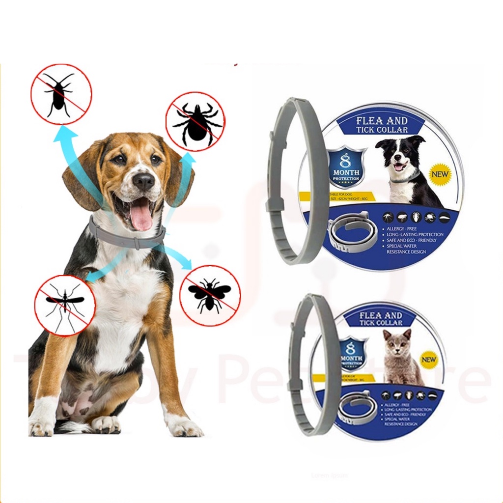 Vòng chống ve rận cho chó mèo Flea And Tick Collar - tác dụng liên tục 8 tháng