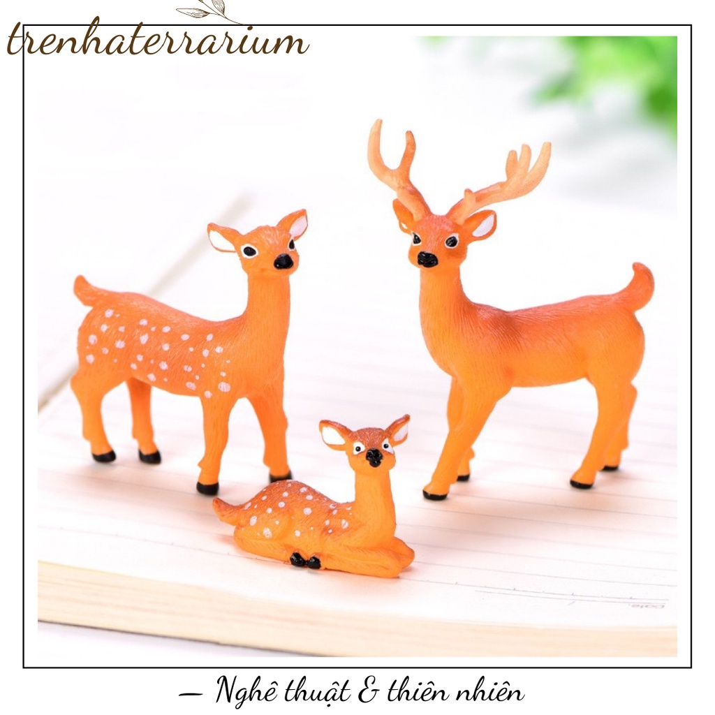 Tiểu cảnh nai sừng tấm cool ngầu trang trí vi cảnh, sen đá, terrarium