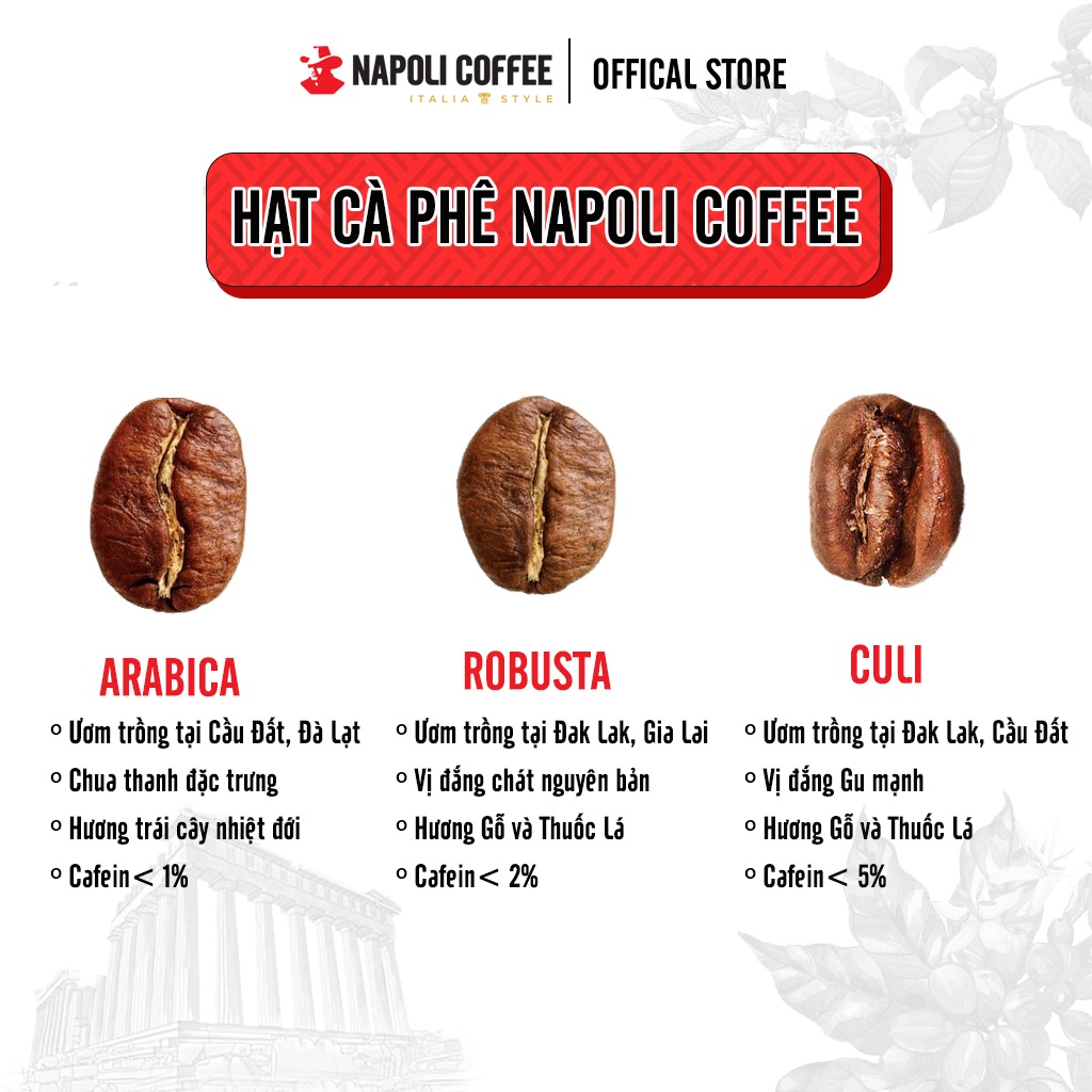 Cà Phê Hạt Robusta/Arabica SẠCH Pha Máy Napoli Coffee Túi 500g Vị Đắng Chát Nguyên Bản Hậu Ngọt
