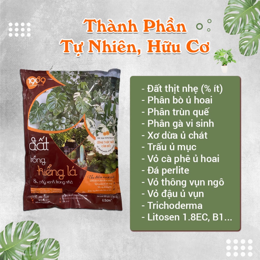 Giá Thể Trồng Kiểng Lá, Xương Rồng, Sen Đá 1989 Cung Cấp Chất Dinh Dưỡng Cho Cây Trồng - Bao 6.5dm3 ~ 2kg (DKL-001-6.5D)