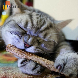 Bộ 15 / 20 Cây Gỗ Matatabi Cho Mèo