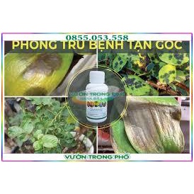 Chế Phẩm Vi Sinh Hữu Cơ P-GRO Trừ Nấm Sâu Bệnh