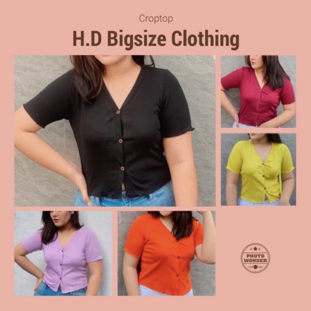 Croptop [Xả kho][Bigsize] thun gân cổ V