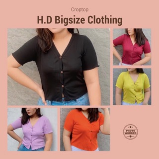 Croptop thun gân cổ V