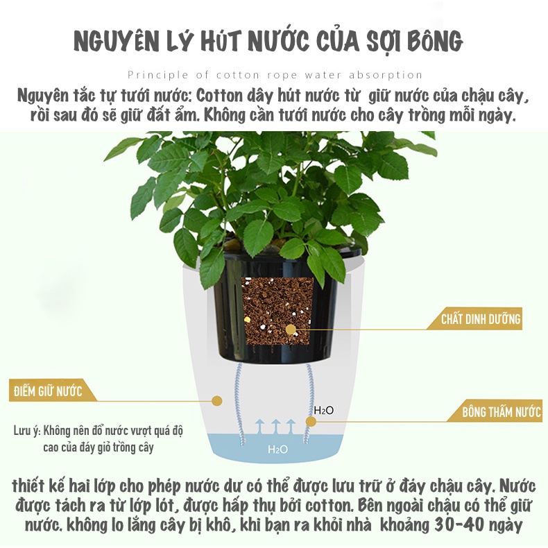 Chậu trồng cây tự tưới Oliz H1 - Chậu trồng cây ban công cỡ lớn