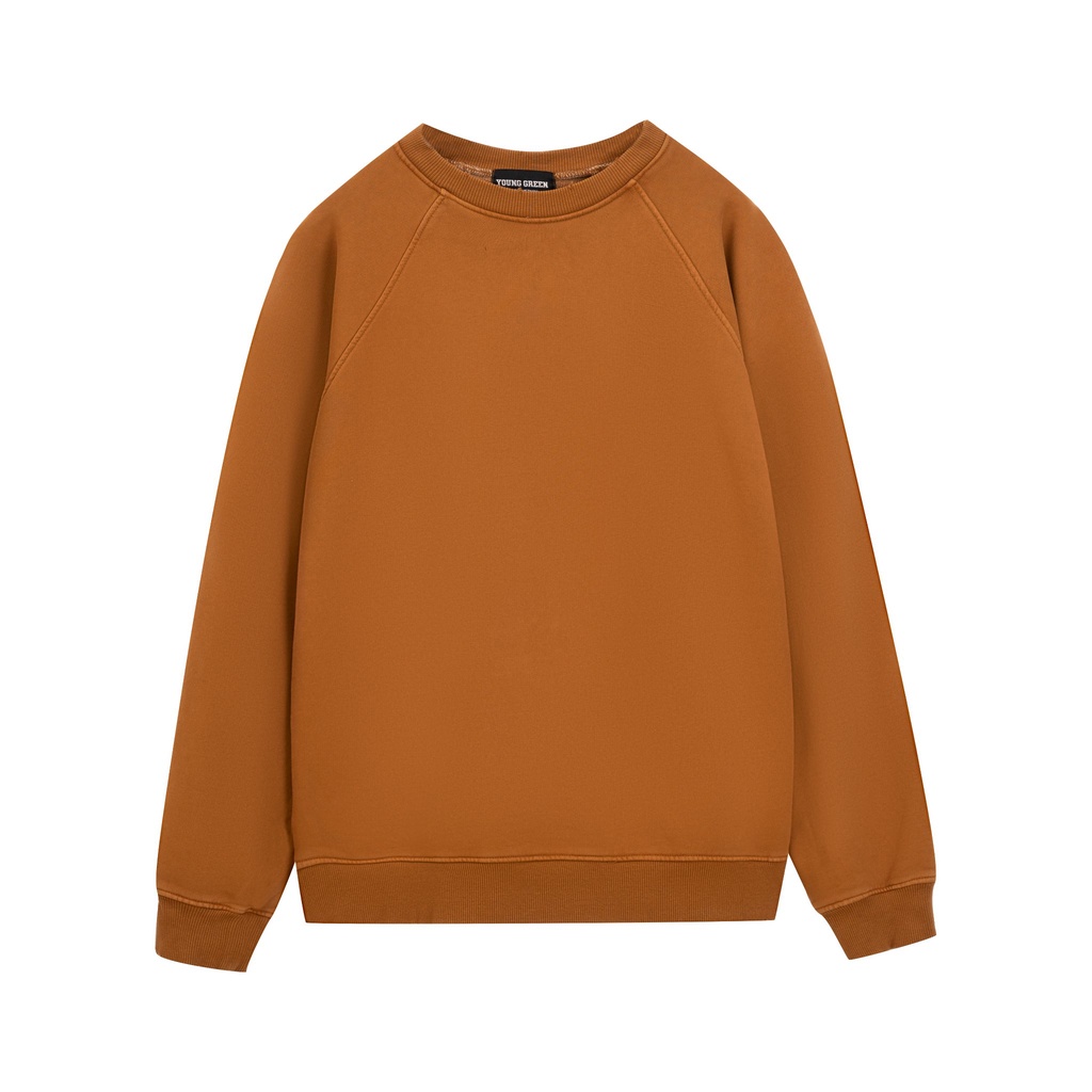 Áo nỉ dài tay WASHED HOOD BLANK - YOUNG GREEN