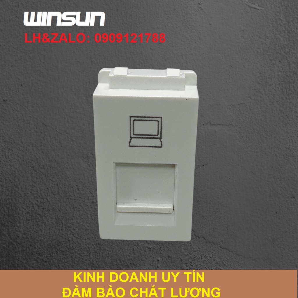 Nhân ổ cắm mạng cat5, cat6, ổ cắm điện thoại đủ loại Winsun