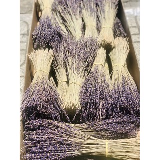 Hoa lavender khô 50 -100-200 cành