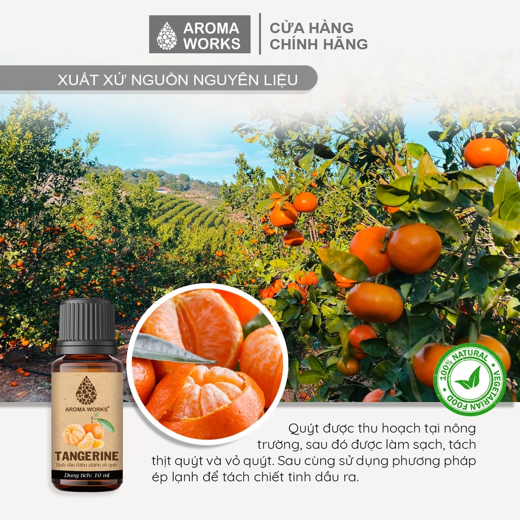 Tinh Dầu Quýt Aroma Works Thiên Nhiên Thơm Phòng, Khử Mùi, Giải Cảm, Đuổi Muỗi, Côn Trùng, Tăng Năng Lượng - Tangerine