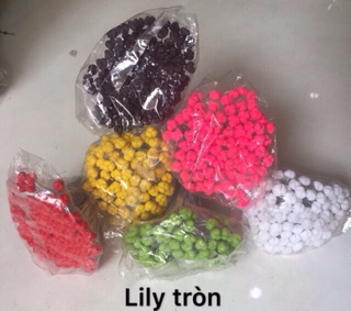 Nhuỵ hoa lily tròn và dẹp (100 nhuỵ)