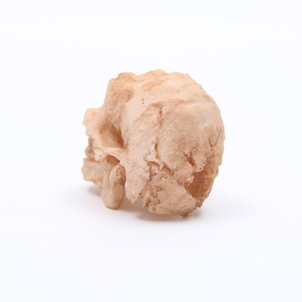 Xương Sọ Nhân Tạo Bằng Resin Tổng Hợp Kích Thước Nhỏ Trang Trí Bể Cá Phong Cách Thời Trang