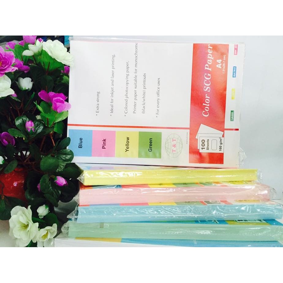 Bìa màu A4 T&T -Hải Phòng