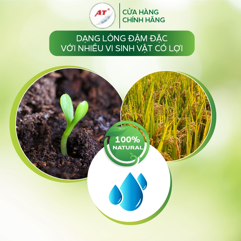 Nano Đồng AT C99 sát khuẩn, diệt nấm bệnh chống héo xanh vi khuẩn trên cây rau màu, cây hoa hồng, hoa lan, cây trong nhà