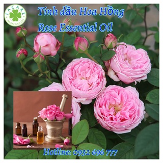 Tinh dầu Hoa Hồng rose essential oil - 50ml/100ml