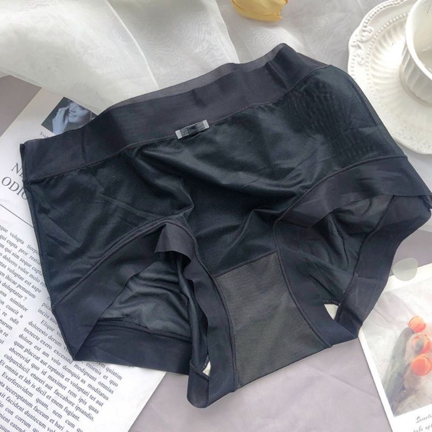 Quần lót nữ lạnh, quần chíp nữ cao cấp thoáng mát siêu xinh Bellar_bra L896