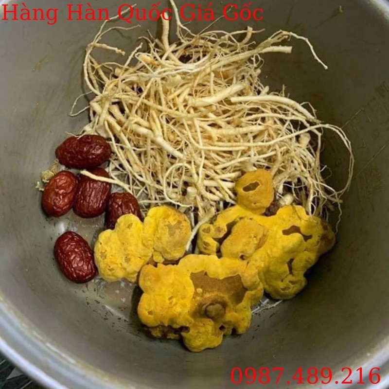 Nấm Thượng Hoàng Vàng Cao Cấp Hàn Quốc, Khay 500g