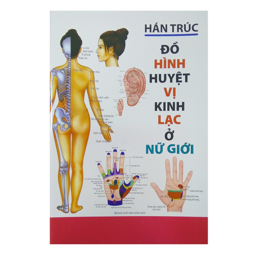 Sách - Đồ Hình Huyệt Vị Kinh Lạc Ở Nữ Giới