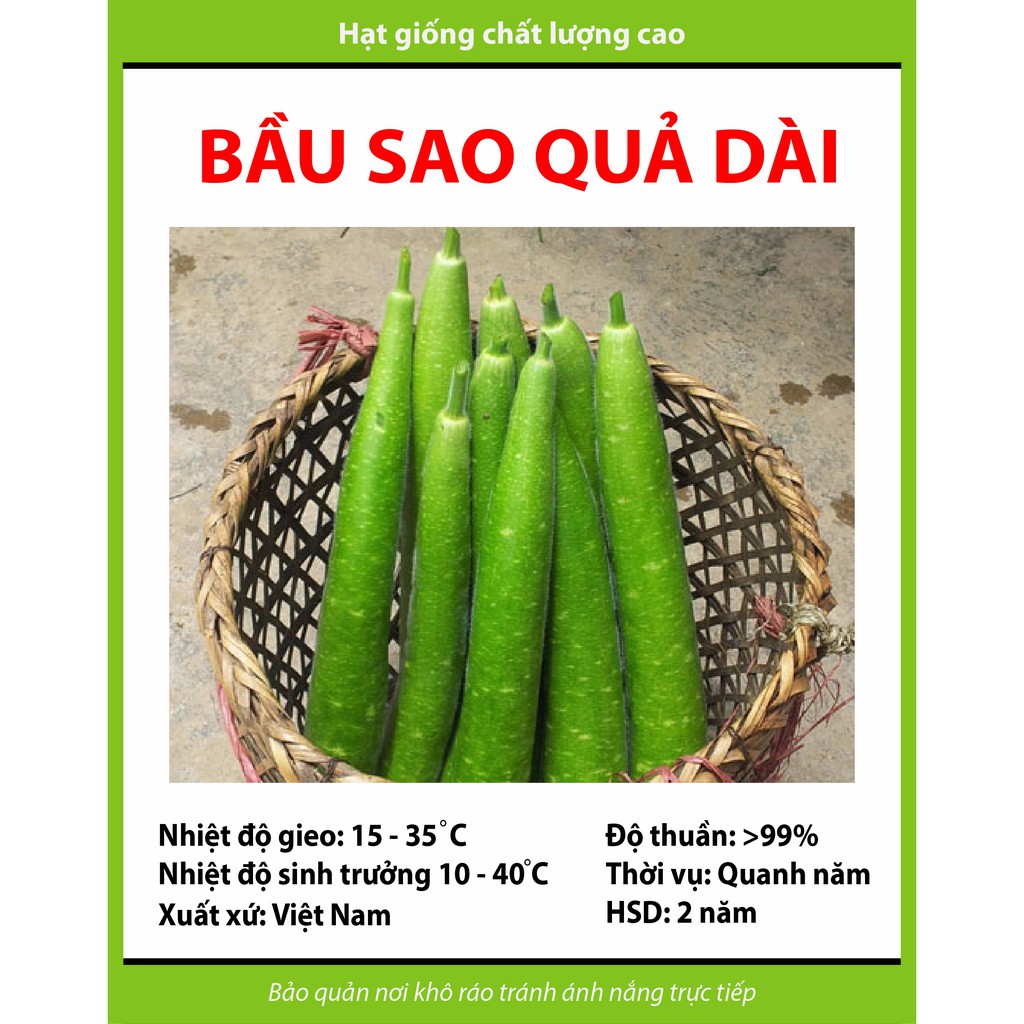 GÓI 100 HẠT GIỐNG BẦU SAO QUẢ DÀI