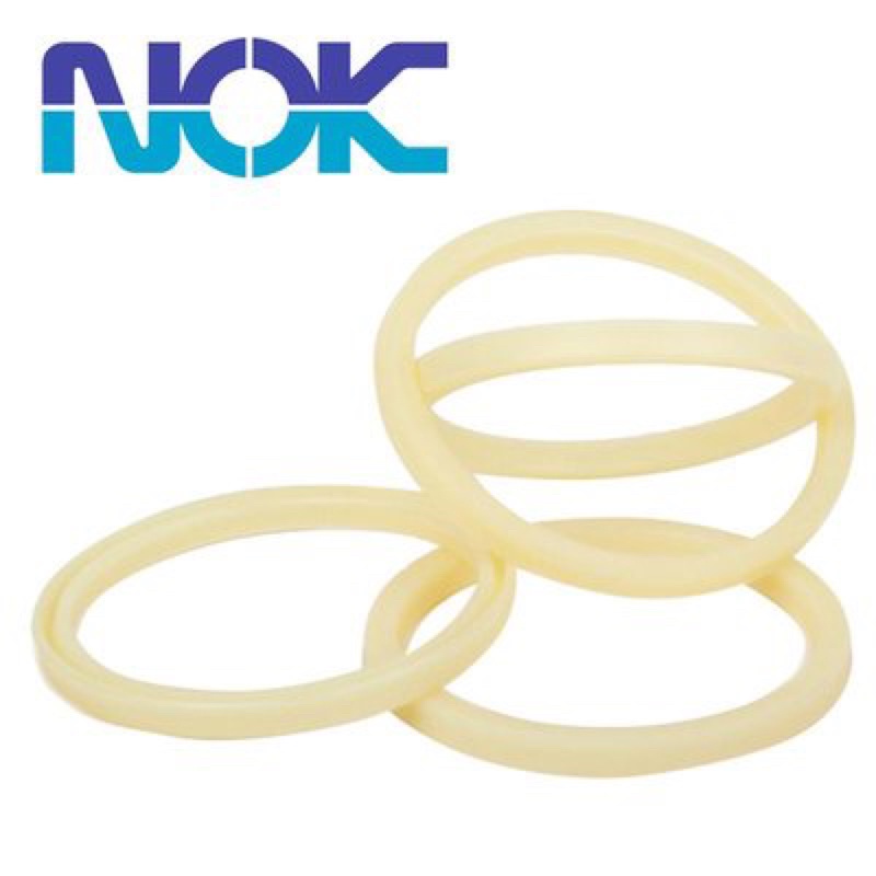 Phớt ben Nhật NOK 85 100 9 FU098-K0