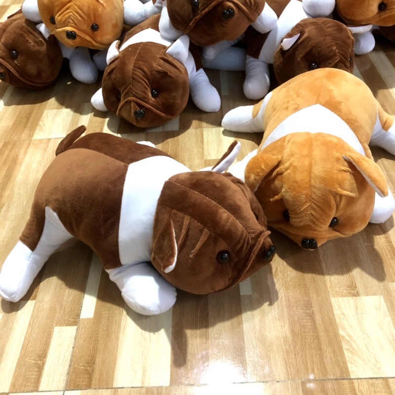 ❤️Sỉ Giá Xưởng❤️ Gấu Bông Chó Mặt Sệ , Thú Bông Chó Nhăn Siêu Đáng Yêu