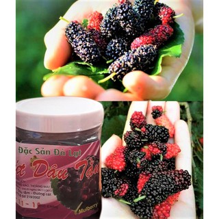 Mứt dâu tằm - Đặc sản Đà Lạt. Luôn có hàng mới