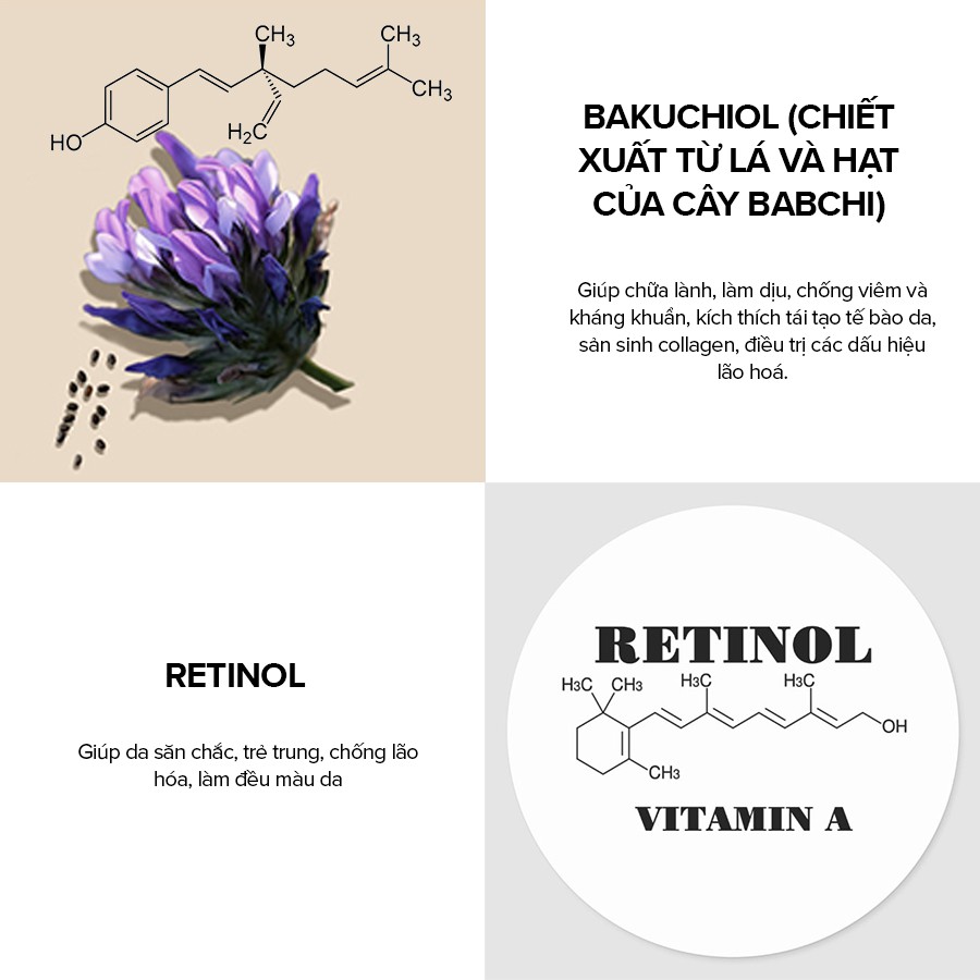 ????QUÀ TẶNG 390K????] Retinol Xóa Nếp Nhăn, Chống Lão Hóa Paula's Choice  Clinical 0.3% Retinol + 2% Bakuchiol Treatment | Shopee Việt Nam